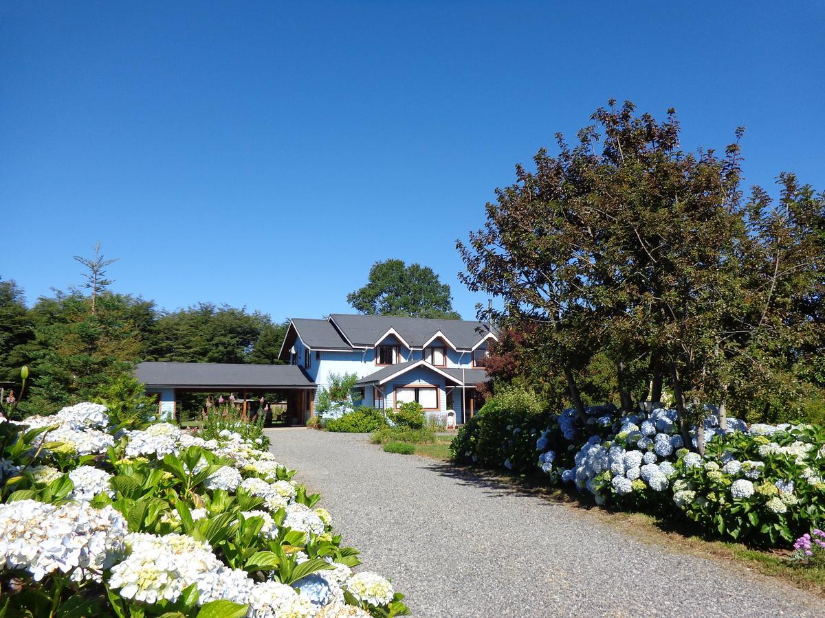 Hostal Tia Lety Villarrica Eksteriør billede